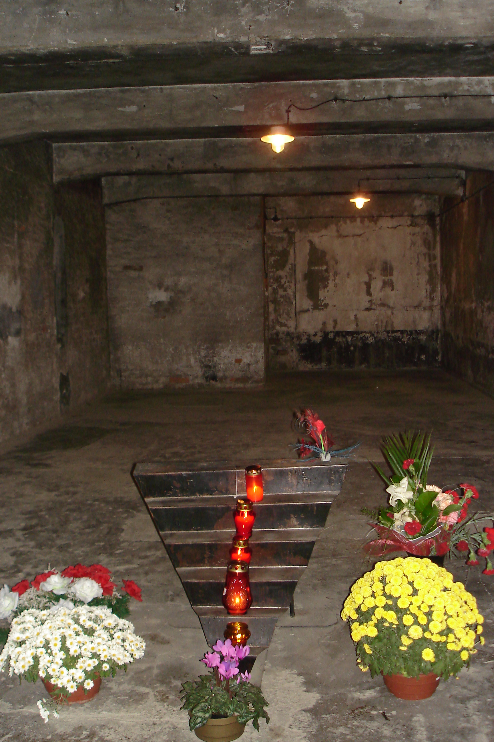 chambre  gaz  Auschwitz
